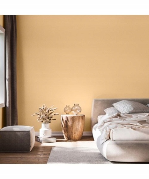 Śnieżka Barwy Natury farba do ścian słoneczne wzgórze 161 2,5L