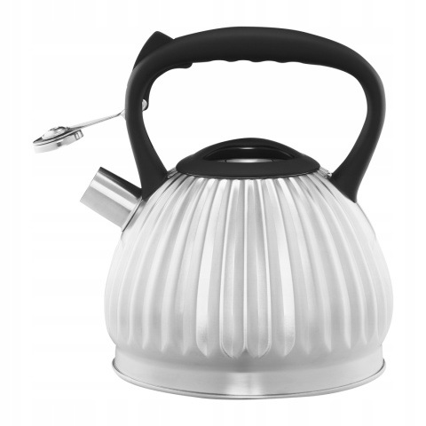 AM-CURLY CZAJNIK 2,5L(3L)SATYNA IND