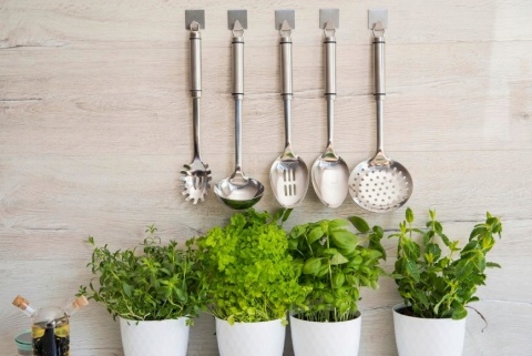 ŁYŻKA NDZ PRACTICO 22486