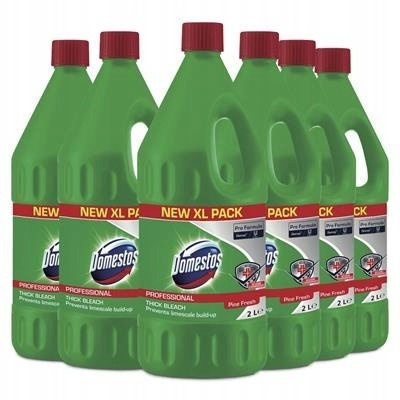 DOMESTOS 2 L PINE 2