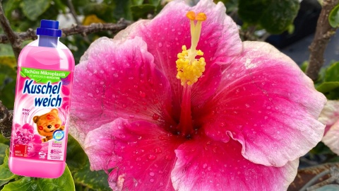 Płyn do płukania Kuschelweich Pink Kiss różowy 1l 12/144/720