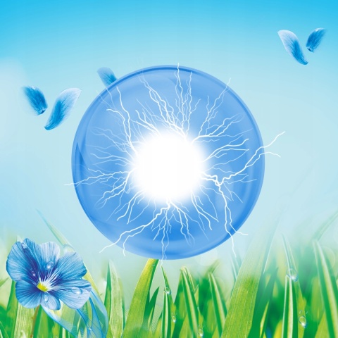 SILAN 2,86l płyn do płukania MORNING SUN op 6