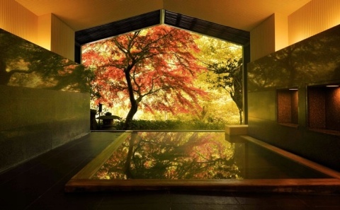 TESORI PŁYN DO PŁUKANIA 760 ML JAPOŃSKIE RYTUAŁY