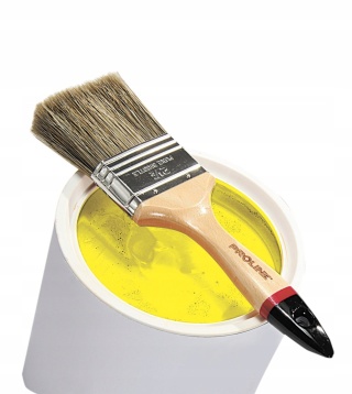 PĘDZEL ANGIELSKI PROF.,2,5RĄCZKA DREW.,LAKIER.,OLEJ,PROLINE