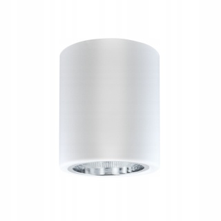 Oprawa natynk. metal. okrągła POLUX JUPITER MD-3011 E27 (excl.), biała, IP20, 110*115mm