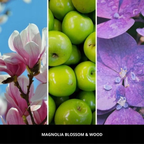 MILLEFIORI MILANO MAGNOLIA BLOSSOM & WOOD uzupełniacz do pałeczek 500 ml MILLEFIORI MILANO MAGNOLIA BLOSSOM & WOOD uzupełniacz do pałeczek 500 ml