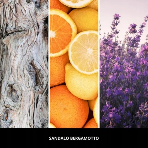 MILLEFIORI MILANO SANDALO BERGAMOTTO dyfuzor zapachowy i pałeczki 250 ml MILLEFIORI MILANO SANDALO BERGAMOTTO dyfuzor zapachowy i pałeczki 250 ml