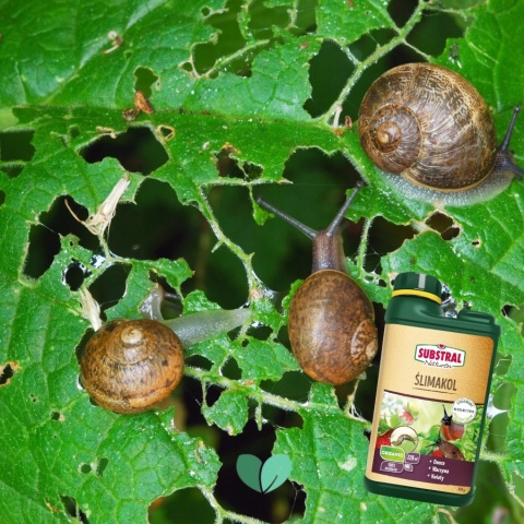 ŚLIMAKOL NATUREN 685 G SUBSTRAL ZWALCZA ŚLIMAKI