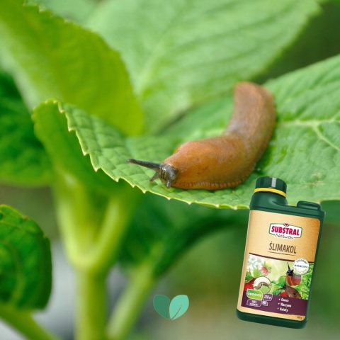 ŚLIMAKOL NATUREN 685 G SUBSTRAL ZWALCZA ŚLIMAKI