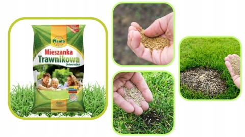 Trawa Mieszanka trawnikowa 5 kg Planta