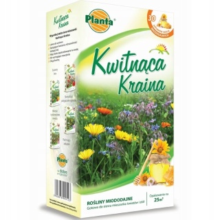 Trawa łąka kwietna Kwitnąca Kraina - Rośliny Miododajne