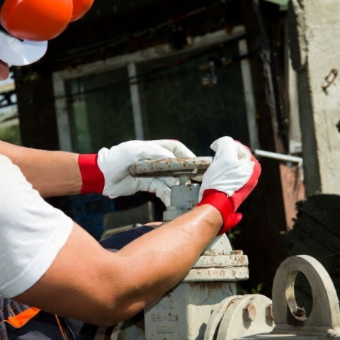 RĘKAWICE ZE SKÓRY KOZIEJ L270210P,KARTA, 10, CE, LAHTI