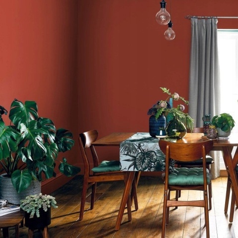 AKZO DZ EC+PRZETARCIA TEST Etno Czerwony0,03L