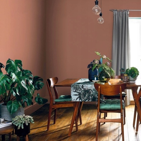 AKZO DZ EC+PRZETARCIA TEST Miedz. Oranż 0,03L