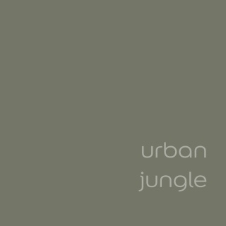 AKZO DZ EC+PRZETARCIA TEST Urban Jungle 0,03L