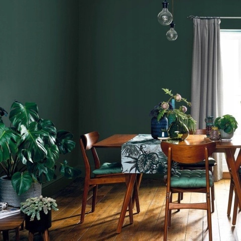 AKZO DZ EC+PRZETARCIA TEST Zieleń Boho 0,03L