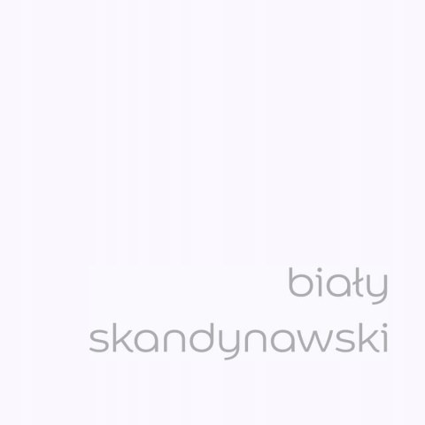 AKZO DZ EC TESTER Biały Skandynawski 0,03L