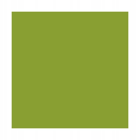 DULUX KOLORY ŚWIATA FARBA TESTER NA WAŁKU Dzikie Pnącza 30mL