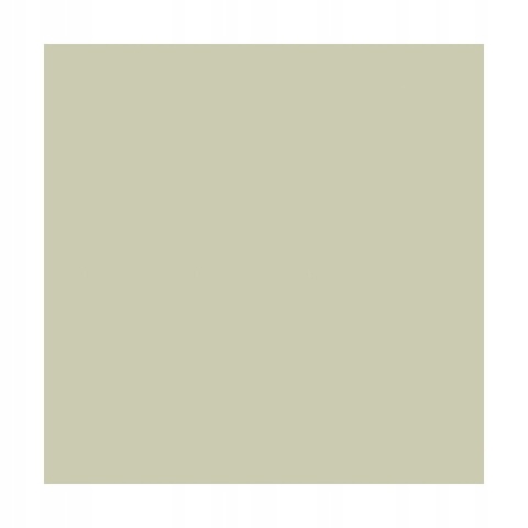 DULUX KOLORY ŚWIATA FARBA TESTER NA WAŁKU Ogród Zen 30mL