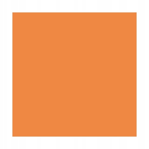 DULUX KOLORY ŚWIATA FARBA TESTER NA WAŁKU Suszone Morele 30mL