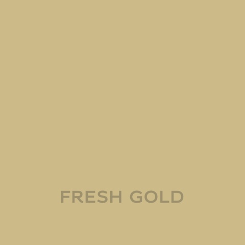 DZ AMBIANCE CER TEST FRESH GOLD 0,03L